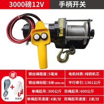 차 빠졌을때 견인 크레인 기중기 해수욕장 논 밭 뚜렁, 3000lbs 12v(무료 이중 로프 풀리)