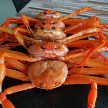 30년경력 선주직송 구룡포 연지홍게 3kg 10-12마리 / 당일조업 자숙(찜) 발송, 프리미엄 3kg 10-12마리 / 수율보장