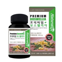 네추럴라이즈 프리미엄 보스웰리아 1 000mg x 60정 보스웰릭산 관절보스웰리아 효능 직구 환 테르페노이드 셀레늄 중년여성, 180정, 1000mg