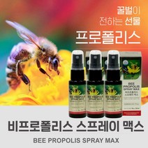 휴대 간편한 항산화 구강 항균 구내염 입천장 입안 헐었을때 에 도움주는 비 프로폴리스 스프레이 bee proplis spray 플라보노이드, 3BOX