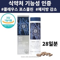 식약처 인증 콜레우스포스콜리 추출물 체지방 감소 도움 콜레 우스 포스 콜린 스트레스 완화 도움 식약청 인정 캡슐 비타민 함유 추출 분말 가루 정 하루 두번