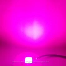 씨앗 발아기 파종기 모종 발아 고추 볍씨 종자 마늘 인큐베이터 led 성장 램프 무인 높은 전원 따뜻한 흰색 전체 스펙트럼 홍수 조명 식물 스트립, 50w, 110V AC 무인