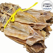 속초 건조 쫄쫄이 마른오징어 (원양산) 20미 한축 선물용 당일발송 마른오징어도매 안주 간식 중부시장 건어물도매몰, 1.3kg 내외(쫄쫄이)