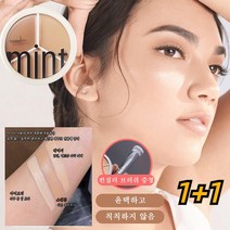 1+1 삼색 컨실러+커버 브러쉬 스팟/트러블/눈물홈/다크서클 컨실러 모이스처 컨실러 세트*2, [3 컬러 컨실러 + 270 컨실러 브러쉬]*1