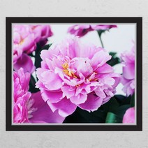 데코밍샵부를부르는풍수작약꽃_창문그림액자_데코스티커_ps362, B타입 외부창문형