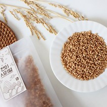 풍심당 현미 시리얼 (120g) 부모님 사무실 간식, 120g