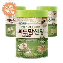 파스퇴르 위드맘 산양 2단계 750g x 3캔_W
