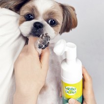 헬로우닥터펫 강아지 발바닥 세정제 150ml 대용량 워터리스 풋 클리너 눈물지우개 귀세정제 이어클리닝패드 아이클리닝패드, 워터리스풋클리너