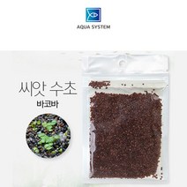 아쿠아시스템 씨앗 수초(바코바) 8g, 1개