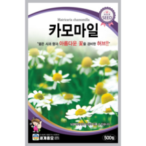 허브 씨앗 카모마일 엷은 사과 향과 아름다운 꽃을 겸비한