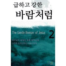 급하고 강한 바람처럼 2, 하늘기획