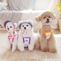 오드펫 썬캡[ODD PET] 강아지 또또또또UV 체크 썬캡 (6종류), 껴또(그린)
