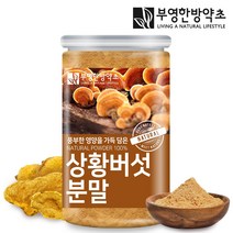 부영한방약초 상황버섯 가루, 1개, 50g