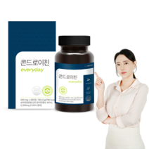 웰빙곳간 상어연골 콘드로이친 에브리데이 365정, 1개