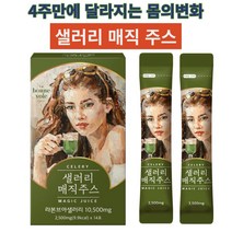 혈관질환개선 장운동 섬유질풍부 라본즈아 샐러리매직주스 이너뷰티 식이섬유 피부고민개선 체중관리 사은품지급, 샐러리매직주스3박스(14포x3)