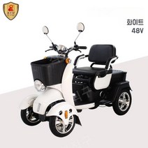 굿홈 500W 전기 4륜차 전동 스쿠터 초강력 배터리 노인카 출퇴근용, 비드 화이트 500W48V