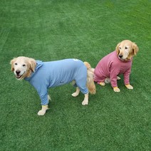 [퍼피니스](size26-36) 중 대형견용 모노 칼라 스판 올인원, 레드