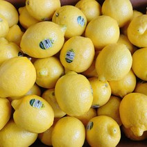 레몬40개 선물용 가성비 비교분석