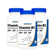 뉴트리코스트 비타민 B1 티아민 모노나이트레이트 500mg 캡슐, 120개입, 3개, 120정