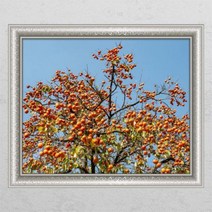 바보사랑 풍수재물복의감나무2 창문그림액자.꾸밈, F타입러블리베이지