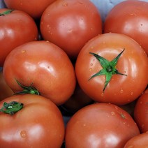 산지직송 당일수확 못난이 완숙 찰 토마토 3kg 쥬스용 사이즈랜덤 강원