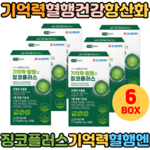 50대 60대 시니어 어르신 혈행개선 기억력개선 은행잎추출물 플라보노이드배당체 30정X6 징코프리미엄 기억력영양제 정맥순환개선제 혈액순환영양제 혈액순환에좋은음식 혈관에좋은영양제