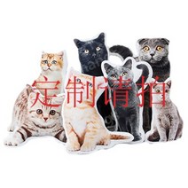 포토쿠션 반려동물 DIY 주문제작 강아지 고양이 사진쿠션 인형, 제작 문의, 40cm 단면