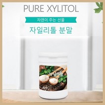 BMS 자일리톨가루 400g 자일리톨분말 자일로스 자일리톨 천연감미료 자이리톨 핀란드산 충치예방 병타입 양치 설탕대신, 1병 400g