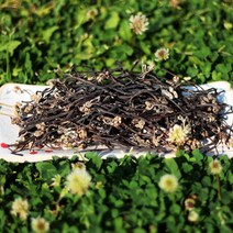 온유네 국산 최상품 최고등급 친환경 무농약 개구리 먹고사리, 50g, 1개