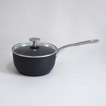 TVS 아우텐티카 인덕션 편수냄비 + 유리뚜껑, 20cm, 1세트