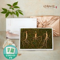 6~10년근 국내산 산양삼 산삼 산양산삼 장뇌삼 장뇌산삼, 8년근 프리미엄 3뿌리 (1상자)