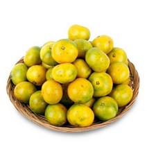 1월18일 오전5시까지 주문시 명절전배송 농협공판장 정성드린 제주 칠십리 노지감귤 5kg(M-2S/47-94...