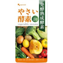 서플리먼트 오가랜드 덕용 야사이 효소 (90 캡슐 약 3 개월 분) B007SSVVMS, 90 캡슐  약 3 개월._One Color, 90 알갱이 X 1_One Color, 상세 설명 참조0