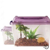 [천삼백케이] [미미네아쿠아] PH02 딸기소라게 사육세트어린이날 세트