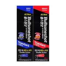 불스원샷 스탠다드-경유 휘발유 택1 (+세차타월2P), 타입:경유