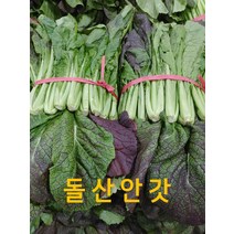 갓 안갓 갓김치용 돌산 안갓 4kg내외 행복한식탁