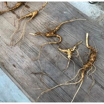 아리랑산양산삼 9-12년근 파삼 7뿌리 산양삼 산양산삼 장뇌삼 산삼 강원도 횡성 자연산산삼 선물추천 설 추석명절선물 부모님선물 건강식품