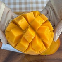 애플망고 선물세트 2kg, 1
