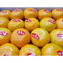 [올즈마켓] 제주 감귤 고당도 하우스 유라조생 감귤 1kg, 2S 5kg (박스)