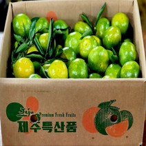 탐라인 제주 조생 유라조생 극조생감귤 중대과 5kg내외, 1box, 5kg