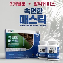 참좋은 속편한 매스틱 사은품 증정 위에 좋은 헬리코박터균 억제 위장 소화불량 메스틱 영양제, 2개, 90청