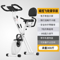 실내 자전거 운동 효과 서서타는 짐바이크 실내용, AE