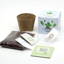 오너클랜 틔움세상 화분재배키트 팜팜농장시리즈 모종 키우기_W9DD195, 상추