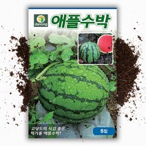 다농 애플수박 씨앗 (5립)