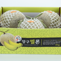 [전국대회 1등] 추석선물 머스크 메론 8kg 3~4수 fruit melon, 4개