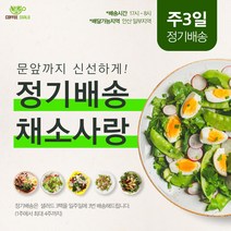 샐러드정기배송 8주X3일 24회 [ 5%할인 ] [ 안산샐러드 배달 ], 15시~16시, C