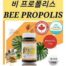항산화 영양제 캐나다 프로폴리스 플라보노이드 17mg 로얄제리 항산화 유해산소 제거 활성산소제거 과로 스트레스 건강증진 활력도움 식물성캡슐, 400mg x 90캡슐
