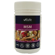 비타핏 엠에스엠 600MG 250정 VITAFIT MSM, 1개