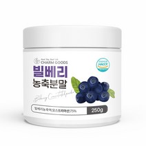 빌베리 농축분말 250g 1병 야생 블루베리 안토시아닌 해썹 오스트리아산