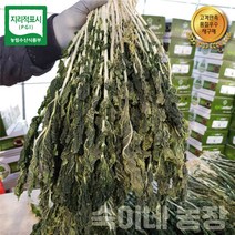 [숙이네농장] 강원도 양구펀치볼시래기 500g 1kg 건시래기 무청 햇시래기, 건시래기 2kg